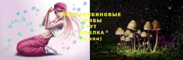мет Арсеньев
