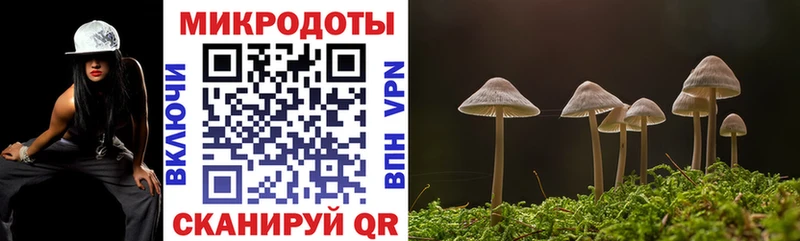 кракен ссылки Цивильск Псилоцибиновые грибы Psilocybine cubensis